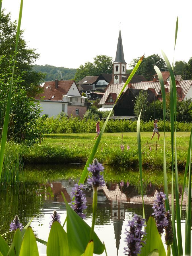 Blick Zum Maimont 호텔 Ludwigswinkel 외부 사진