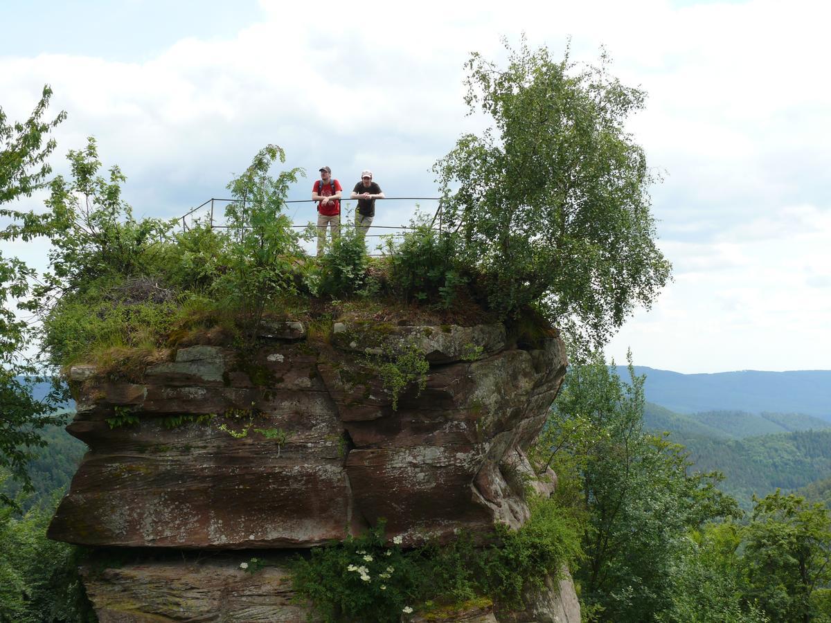 Blick Zum Maimont 호텔 Ludwigswinkel 외부 사진