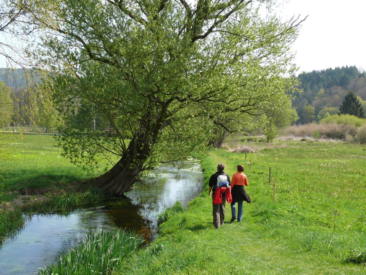 Blick Zum Maimont 호텔 Ludwigswinkel 외부 사진