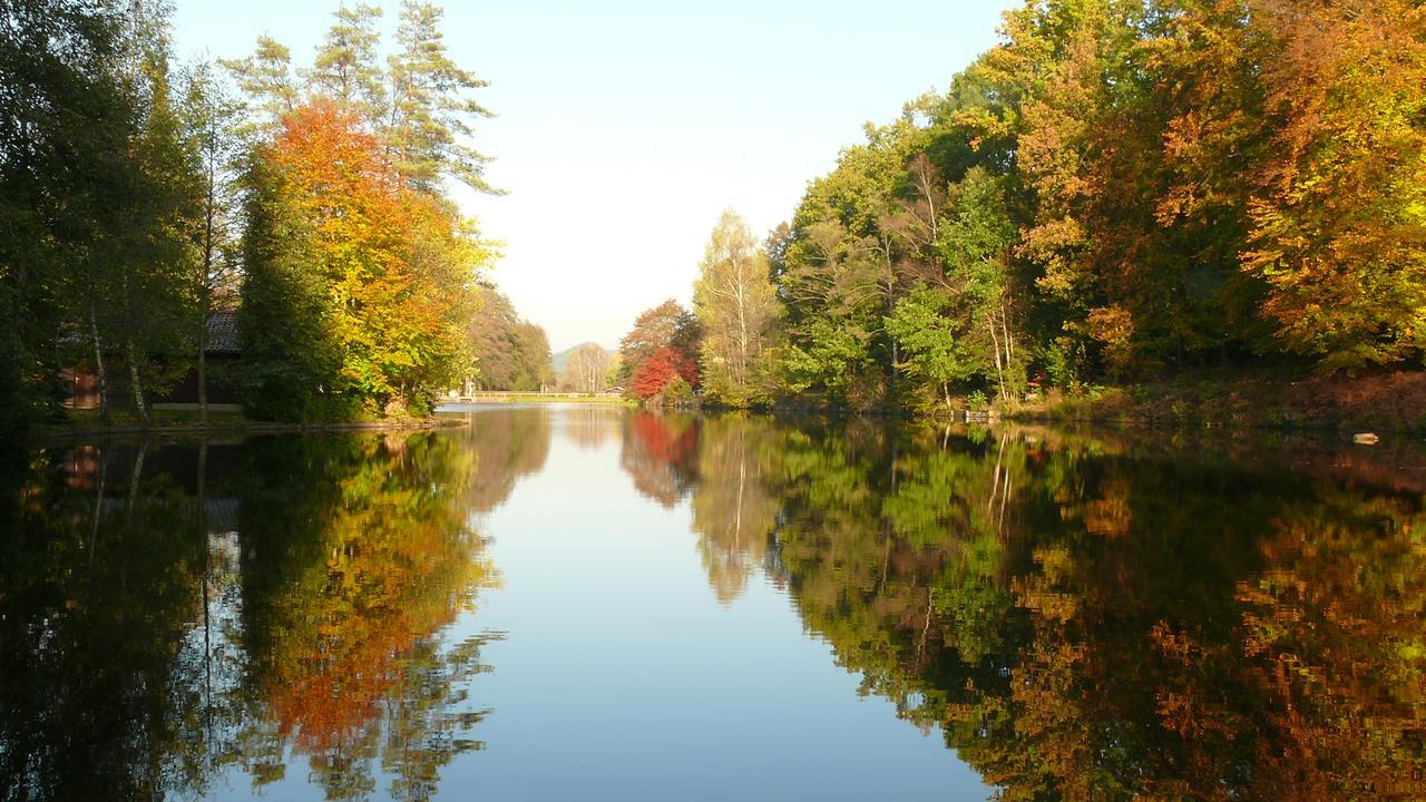 Blick Zum Maimont 호텔 Ludwigswinkel 외부 사진