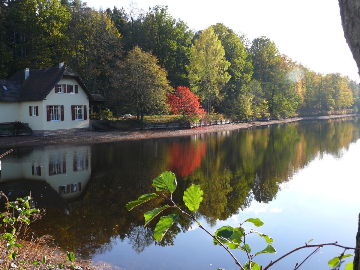 Blick Zum Maimont 호텔 Ludwigswinkel 외부 사진